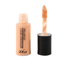 Makeup Hide Blemish Whitening Cream Liquid Concealer Care Concealer Palette Contouring Base Maquiagem