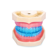 Professional Dental Tooth Teeth Orthodontic Appliance Trainer Alignment Braces Oral Hygiene Care Equipment with Box