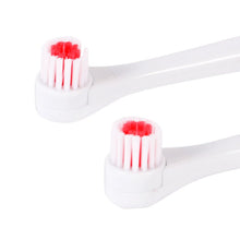 Rotary Electric Toothbrush No Rechargeable Tooth Brush Electric With 2 Brush Heads Blue Dental Care LE4