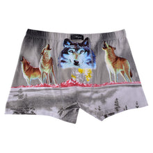 Sexy Underwear Men Boxer Cotton Spandex Classic Print Underpants 18 Colors Mens Cuecas Boxers Shorts Homme Calzoncillos